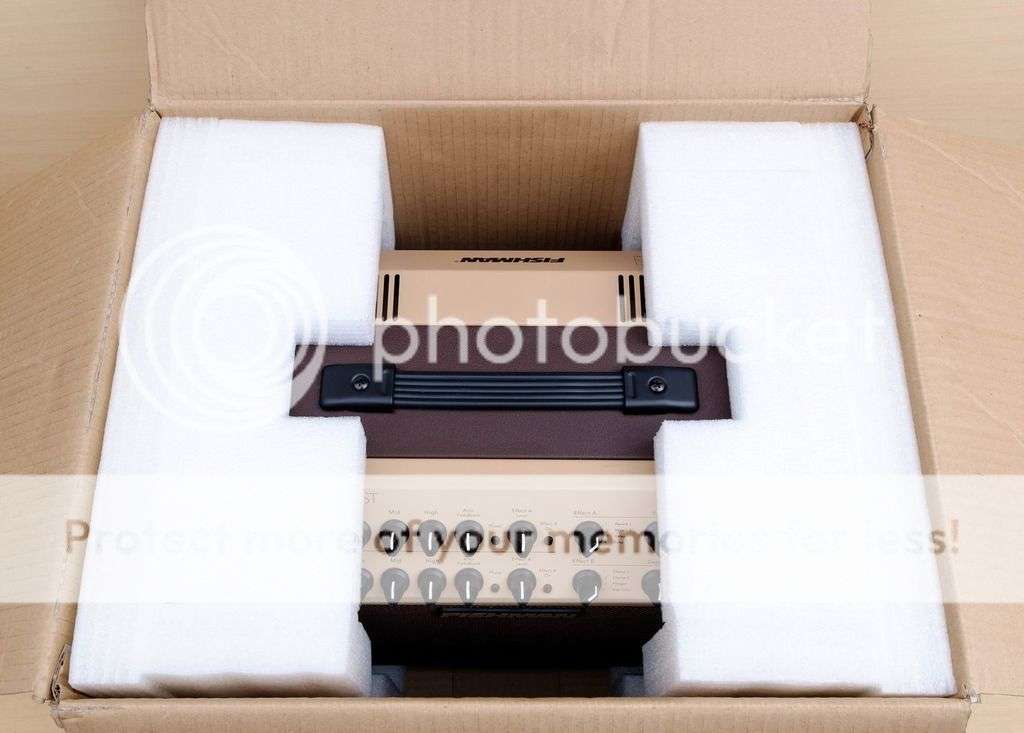 Fishman Loudbox Artist Acoustic Guitar Amplifier PRO-LBX-EX6 PRO-LBX-600 Taylor Martin Fender Gibson