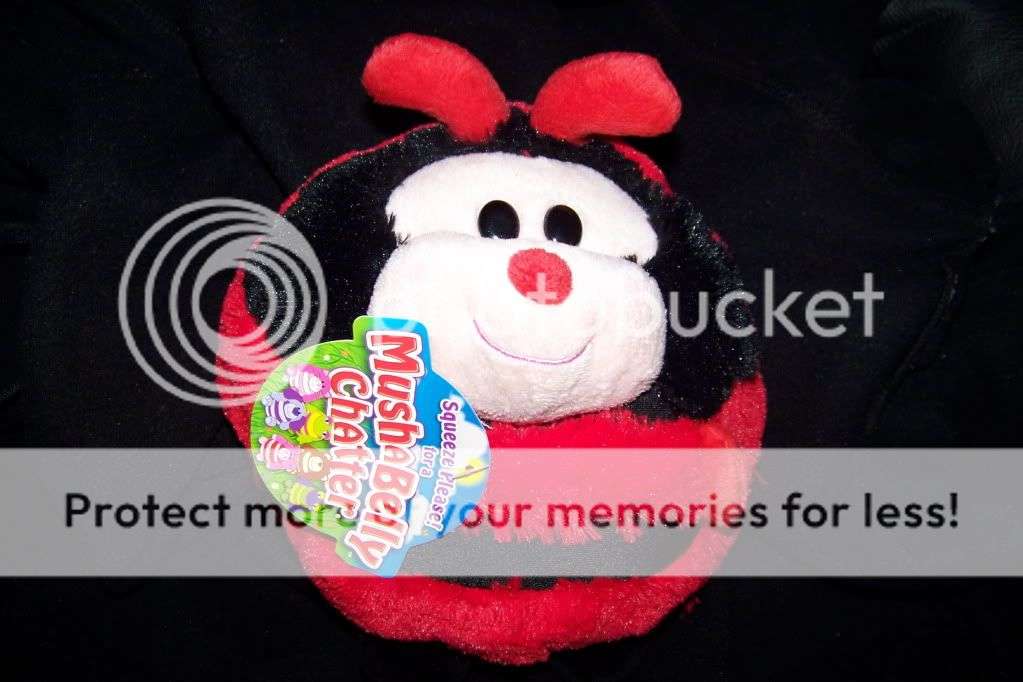 MushaBelly - Chatter