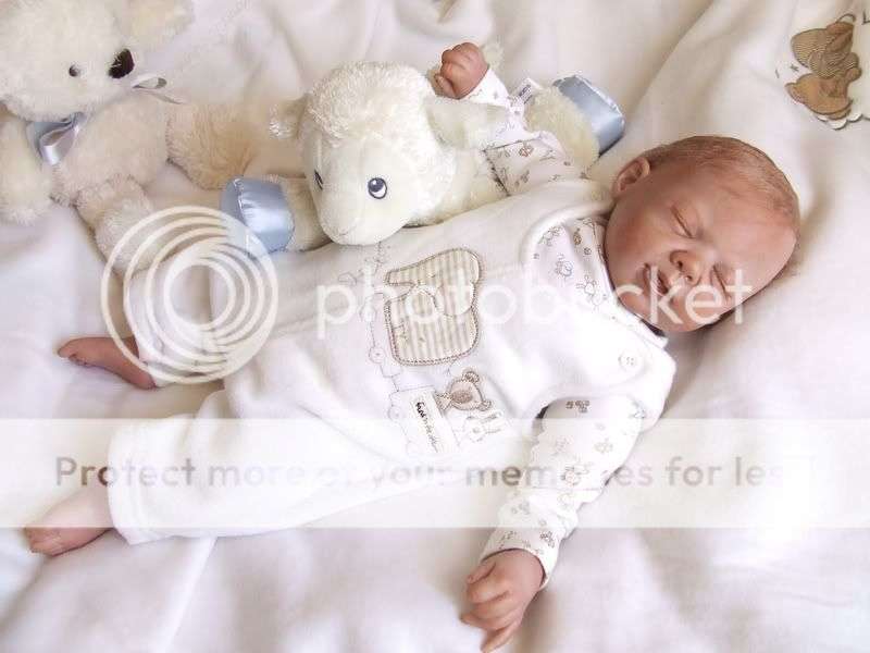 Baby Robin - A reborn sculpt by Michelle Fagan