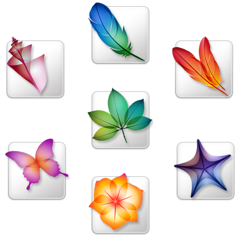 Adobe All in One Package