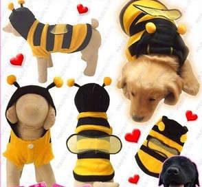 Cute Dog BEE Costume
