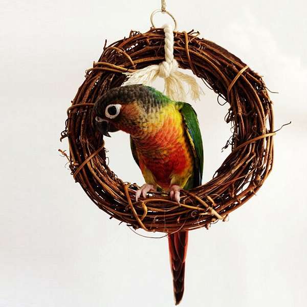 Rattan Bird Parrot Swing Ring Parrot Stand Holder Bird Parrot Toys Rattan Stands