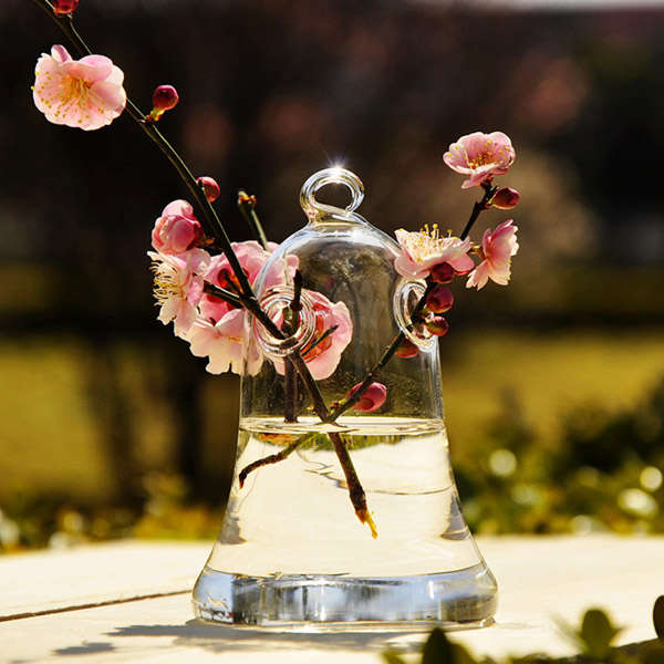 Bell Shape Hanging Glass Vase Hydroponic Plants Container