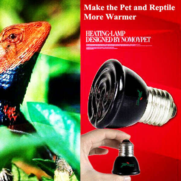 220V Reptile Insulation Lamp Crawler Mini ceramic Heating Lamp Night Light 20W/40W/60W/100W