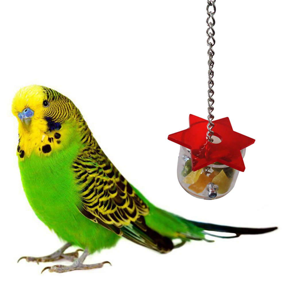 Bird Feeding Box Parrot Pet Bird Hex Star Acrylic Foraging Feeder Box Hanging Cage Swing Chew Toys