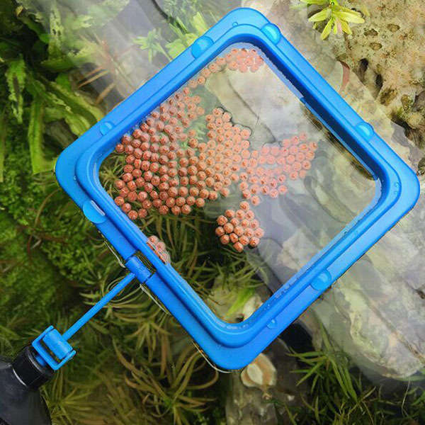 Aquarium Fish Tank Food Feeder Feeding Ring