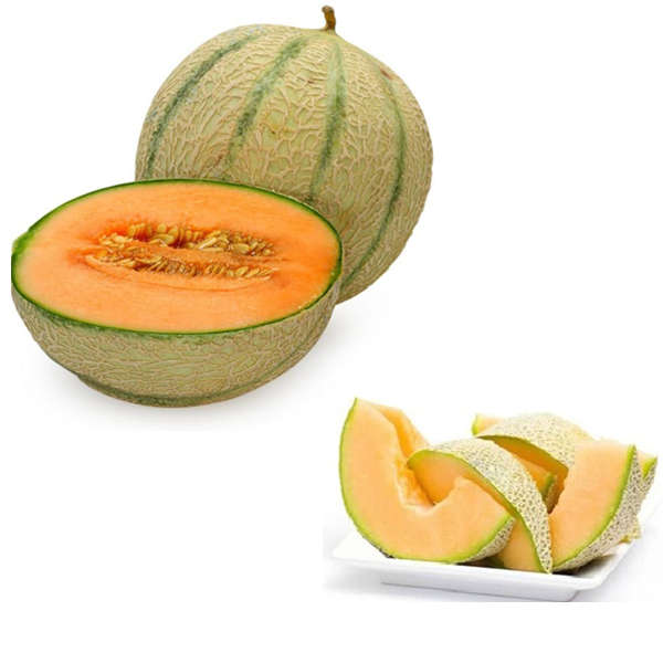 10PCS Cantaloupe Melon Cucumis Melo Organic Heirloom Fruit Seeds