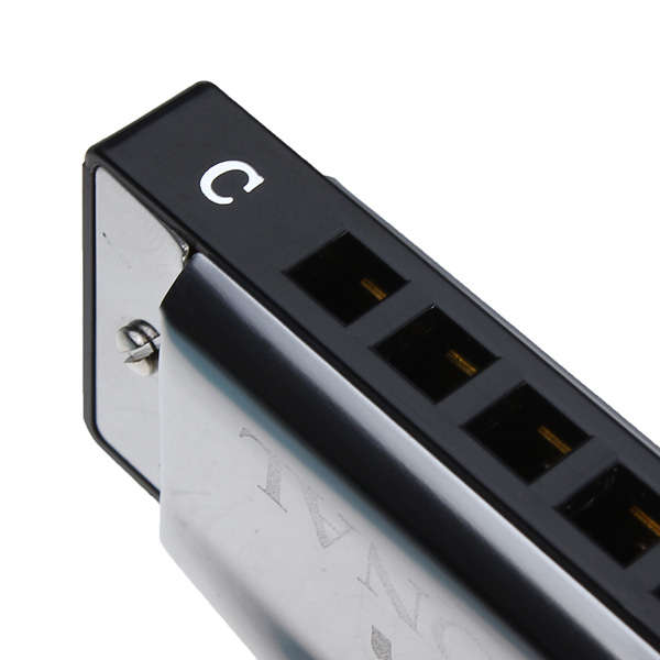 Silver Star HOHNER 10 Holes Blues Harmonica Key Of C