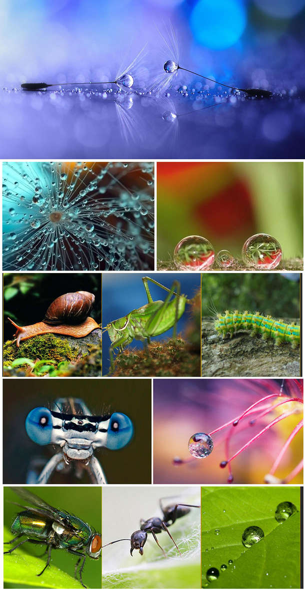 52mm Macro Close Up Filter Lens Kit +1 +2 +4 +10 for Canon Nikon DSLR SLR Camera - 0.14kg