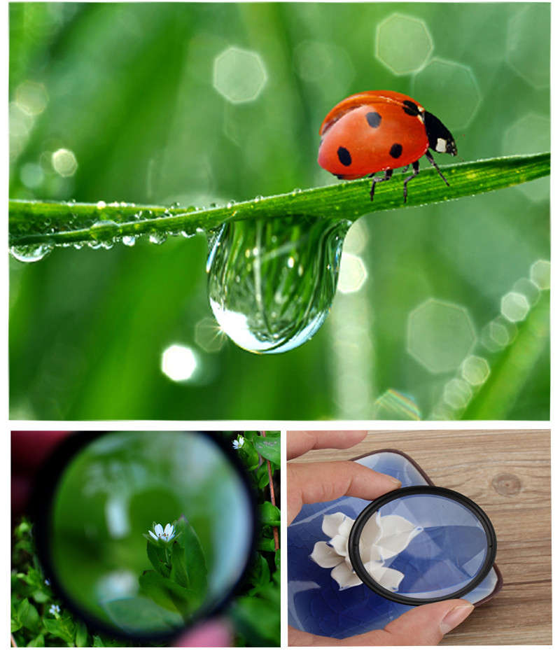 52mm Macro Close Up Filter Lens Kit +1 +2 +4 +10 for Canon Nikon DSLR SLR Camera - 0.14kg