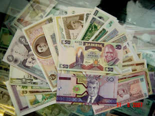 50 different World wild banknots collection