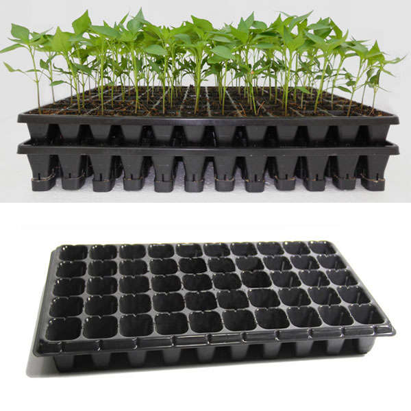 21 32 50 Holes Vegetable Flower Seeds Growing Tray Garden Plant Nursery Seedling Plate