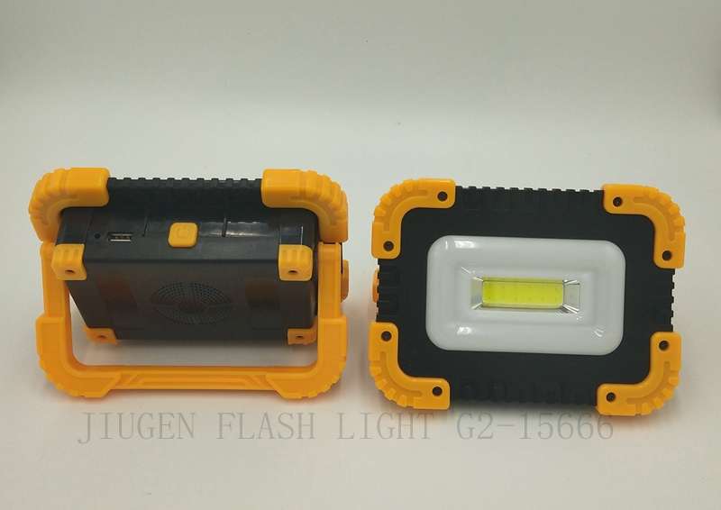 COB  Flood Light