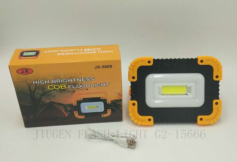 COB  Flood Light