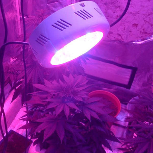 25*3W Blue/Red UFO Energy Saving LED Grow Light AC 85-265V