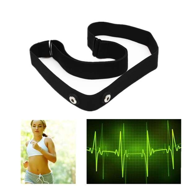 Elastic Chest Belt Strap for Wahoo Garmin Polar Sport Heart Rate Monitor *Free Shipping