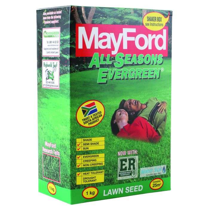 MayFord Evergreen All Season Lawn Seeds 1kg