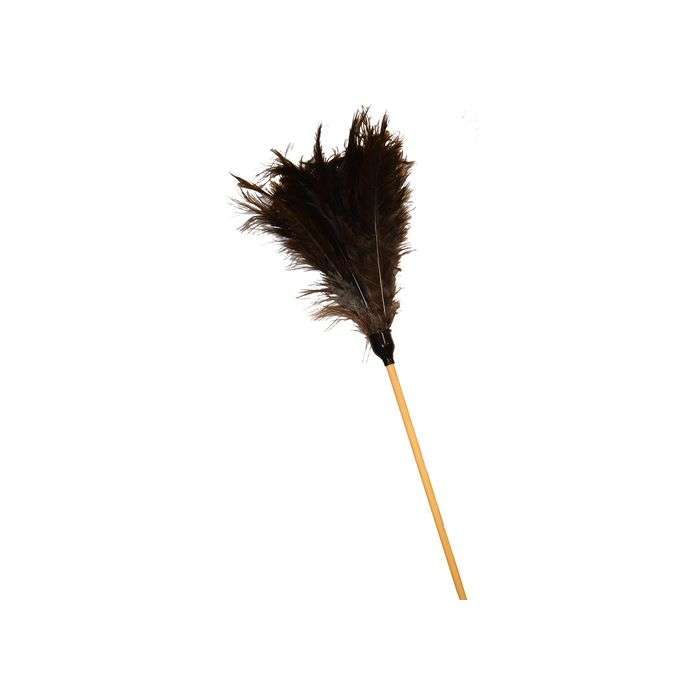 Academy Brushware Ostrich Feather Duster 1.8m