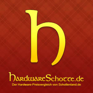 Panasonic Lumix DMC-FZ100 DSLR Camera + Free Lowepro Clips100 Camera Bag - Why Buy Canon or Nikon?