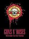 Guns n Roses - Welcome to the Videos (DVD)