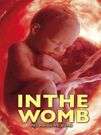 In the Womb - (DVD)
