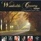 Wonderlike Country Gospel - Various (CD)