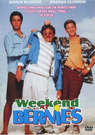 Weekend at Bernie's (DVD)