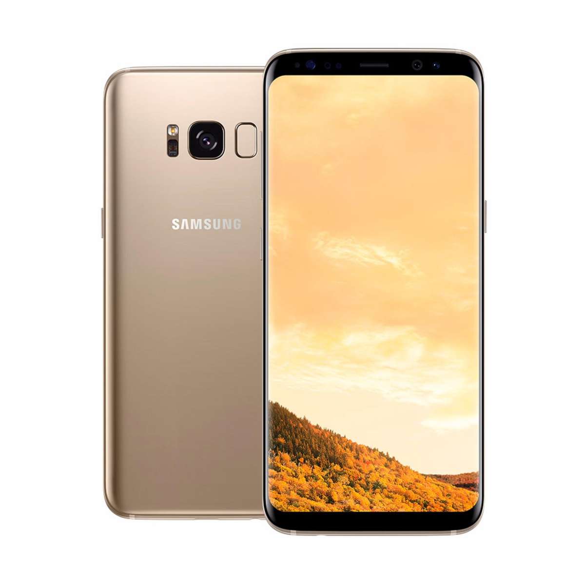 SAMSUNG S8 | MAPLE GOLD