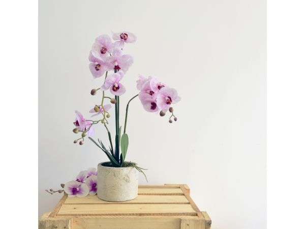 Sarah Jane Purple Decorative Multiple Orchids with Ceramic Pot - SJ6667