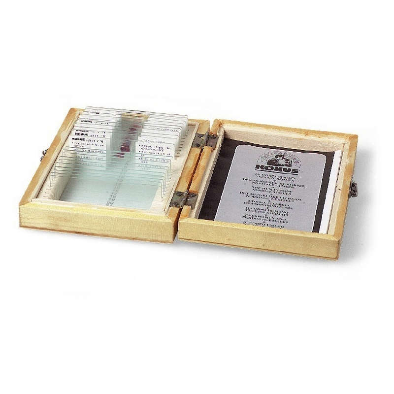 Konus Prepared Slides Human Body Part 2/10 per set