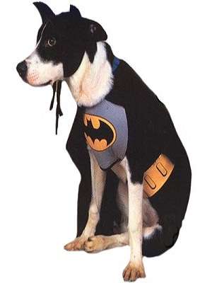 Batman Dog Costume