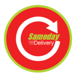 Ortho-Rest Mattress and Base Set - Queen Mattress Only