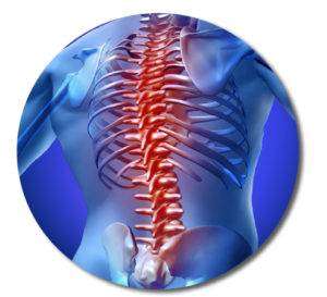 Orthopedic Mattress & Base Set - Queen Base set