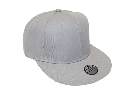 Snap Back Cap - grey