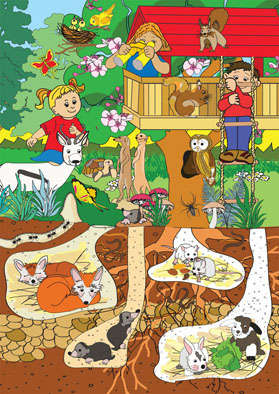 Woods, The (48pc Puzzle)