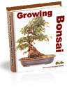 Growing Bonsai eBook *NO POSTAGE*