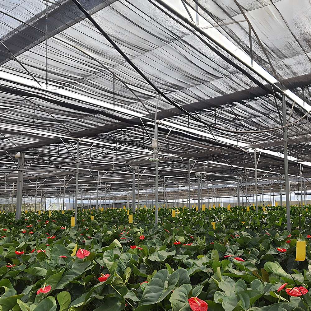 Black Shade Net (80% Sun Blockage) - Greenhouse Shade Solution / 2m (W) x 50m (L) roll