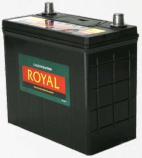 Royal Delkor NS60 45AH Deep Cycle Battery - 12 Volt