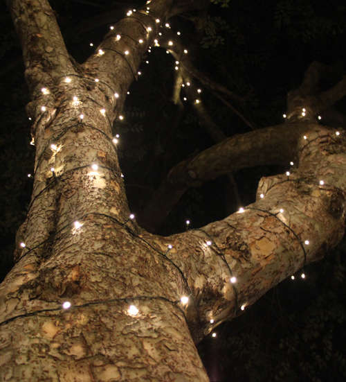 Solar LED Fairy Lights (lumi naturally warm) by lumi LED Lights