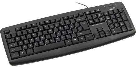 Genius KB110X PS2 Black Keyboard