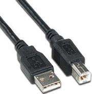 Digitech C32V3P USB 2.0 Cable-5metres A Male-B Male-Standard Version-Usually for used with printers