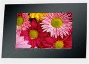 Telefunken 10&rdquo; Digital Photo Frame-Support the popular cards: SD,MMC,MS CARD READER Retail Box