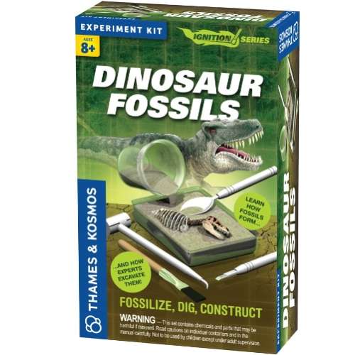 Dinosaur Fossils