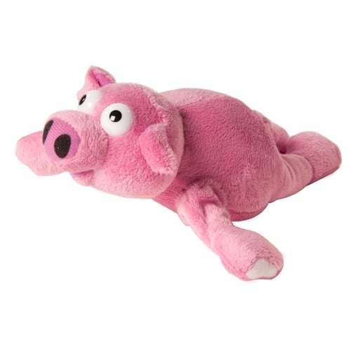 Flying Pig