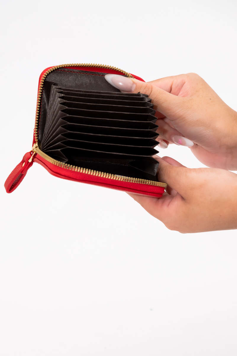 Zipp Around Credit Card Holder Pocket Wallet With RFID Blocking