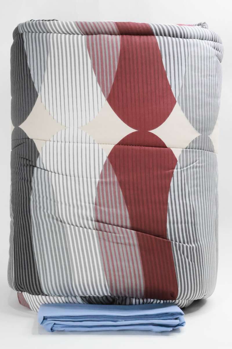 Value Pack Comforter Set With Pillow Case