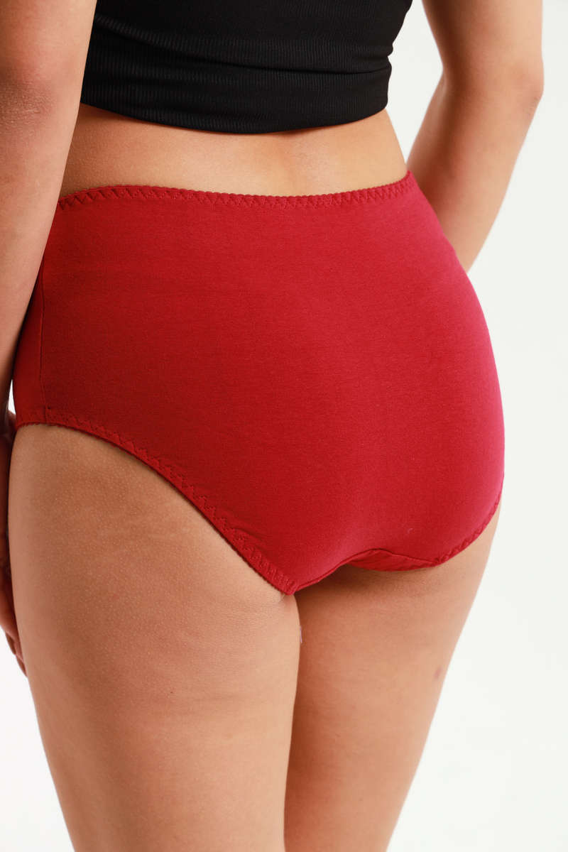 Ladies Fantasy 3 Pack Cotton Spandex Everyday Brief Panties