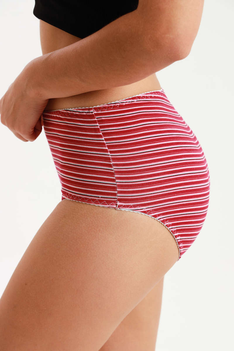 Ladies Fantasy 3 Pack Cotton Spandex Everyday Brief Panties