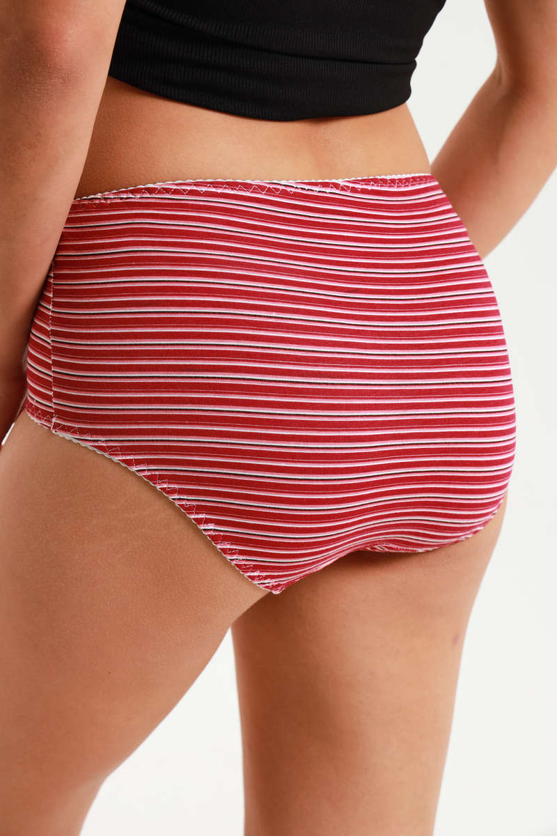 Ladies Fantasy 3 Pack Cotton Spandex Everyday Brief Panties