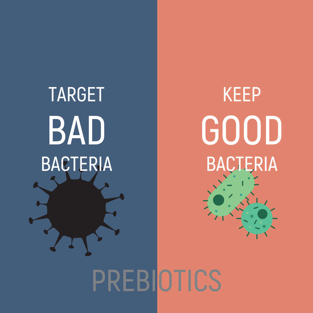 Acne.org.za Protocol - 3 step Kit - Cleanse, Treat and Moisturise